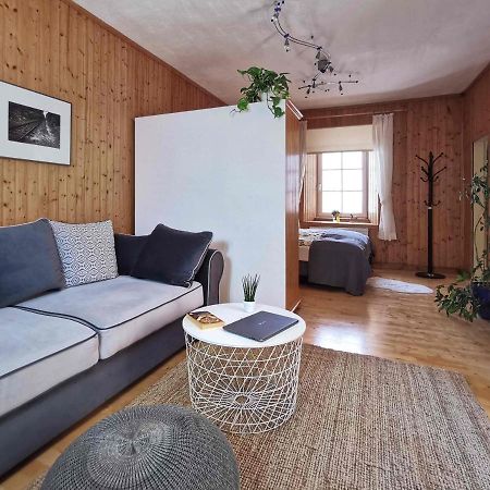Ferienwohnung Himmelberg 80M2 In Der Altstadt Und Toll Fuer Familien كلاغنفورت المظهر الخارجي الصورة