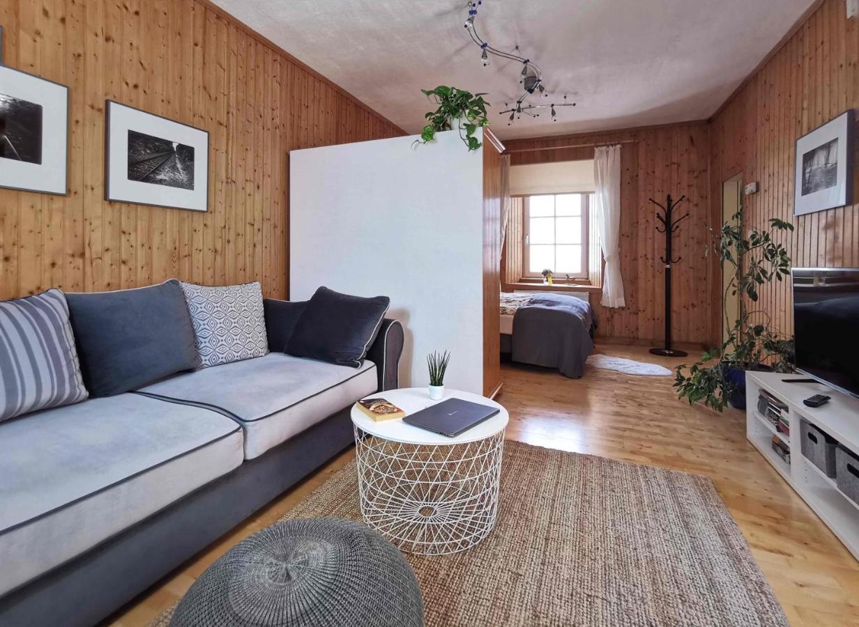 Ferienwohnung Himmelberg 80M2 In Der Altstadt Und Toll Fuer Familien كلاغنفورت المظهر الخارجي الصورة